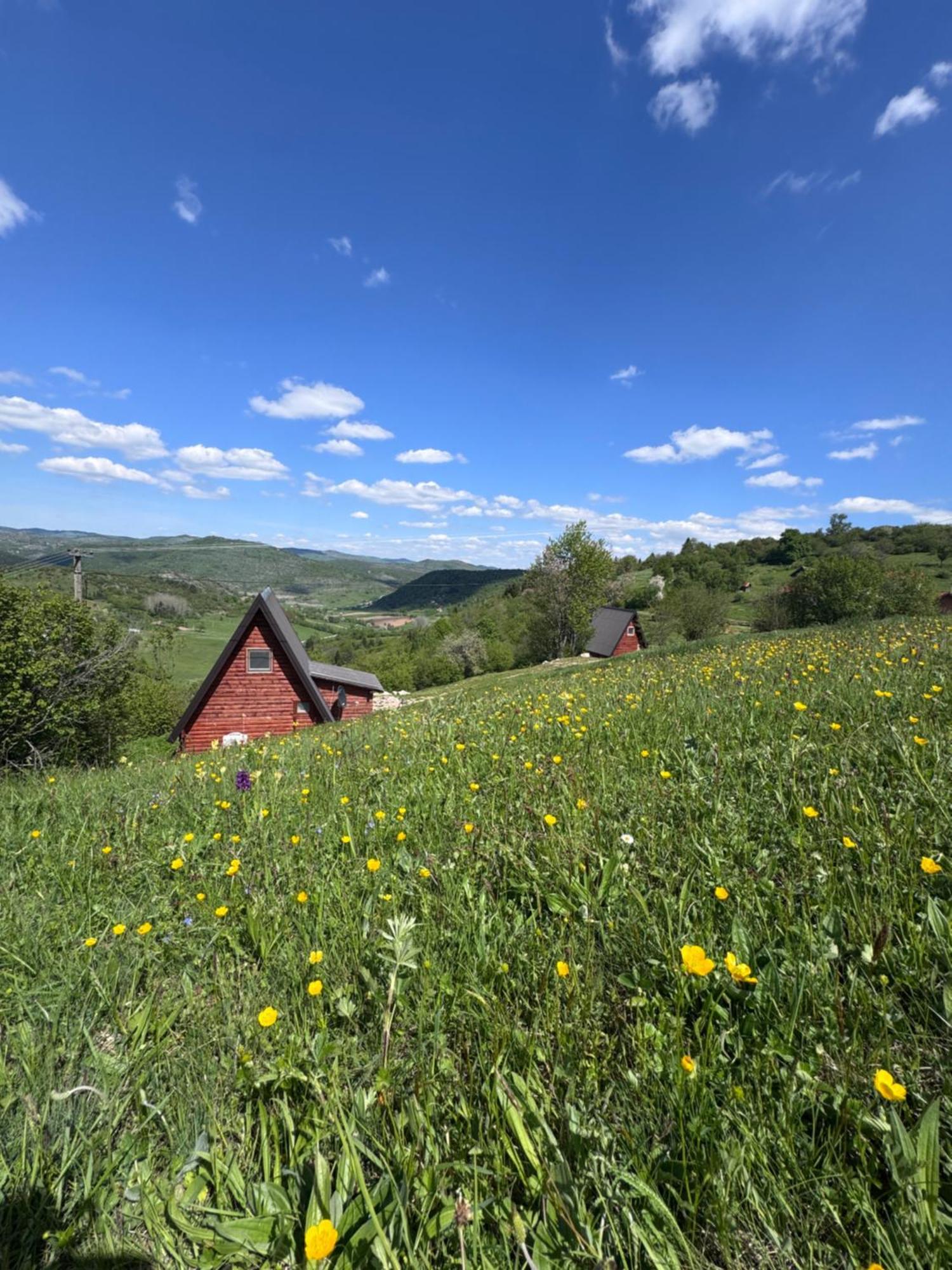 Vila Uvacki Raj Radijevici Exteriér fotografie