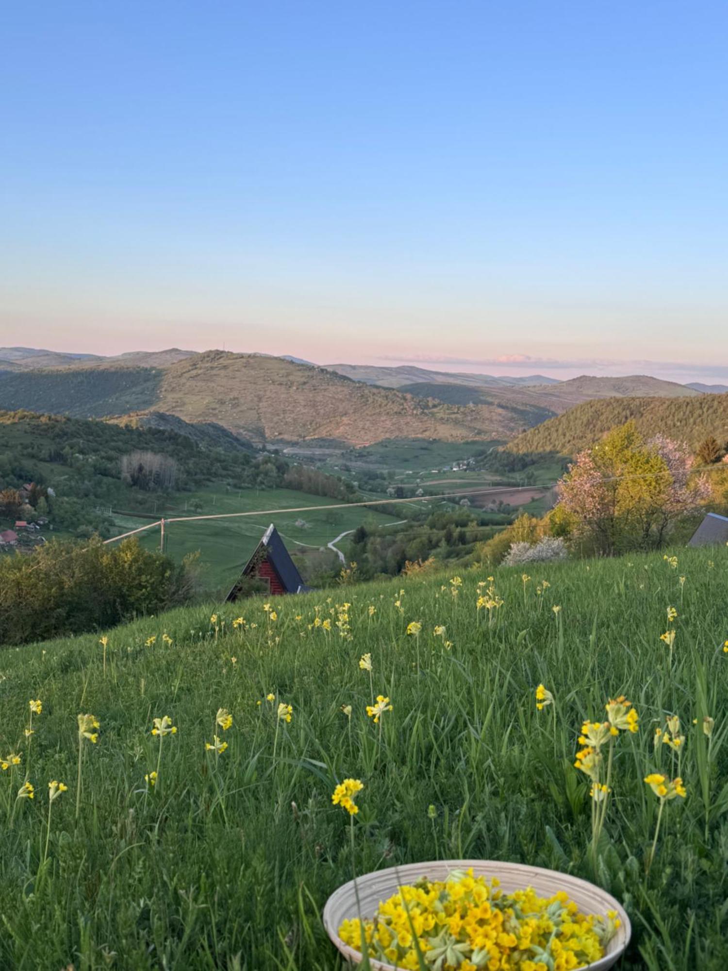 Vila Uvacki Raj Radijevici Exteriér fotografie